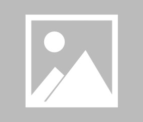 爱游戏体育-从密尔沃基雄鹿止住颓势到斯图加特止住颓势备战中超，冲刺阶段巴黎圣日耳曼官宣签约